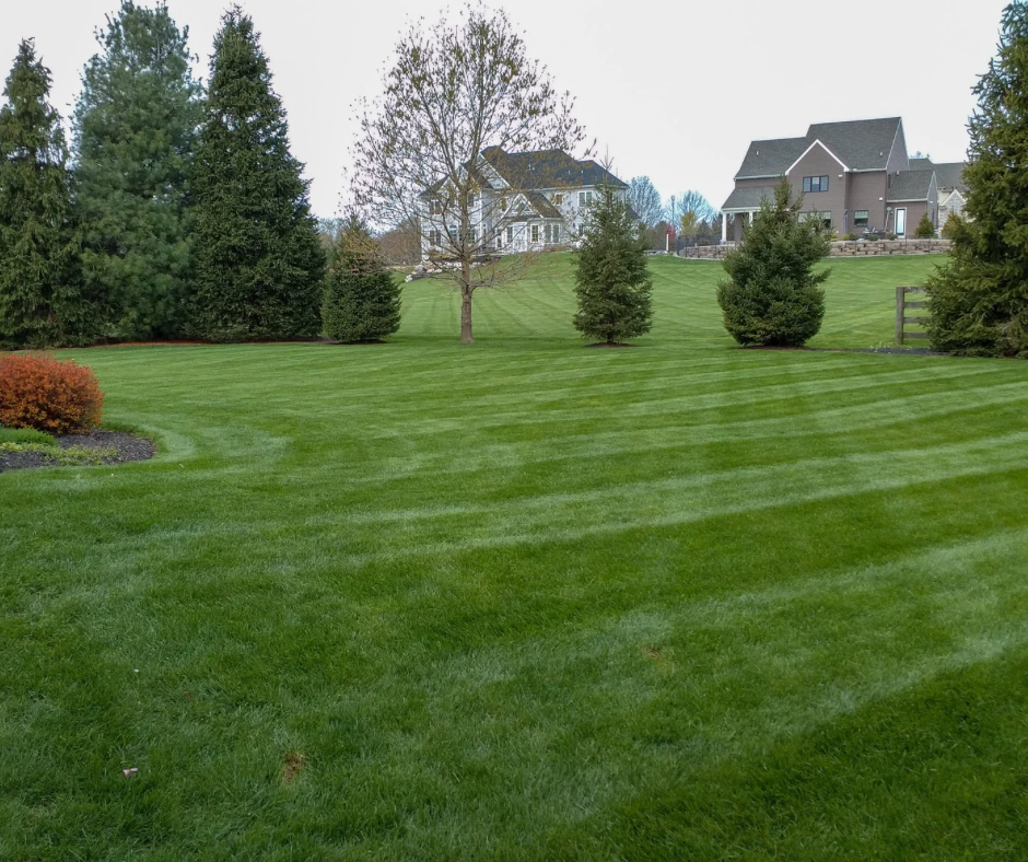 Landscaping