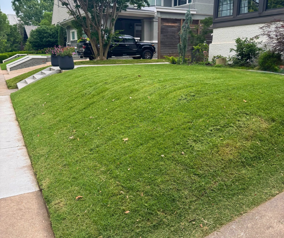 Landscaping