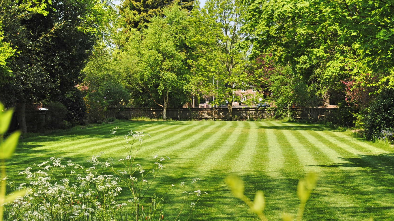 Landscaping